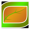 ROA logo version 2